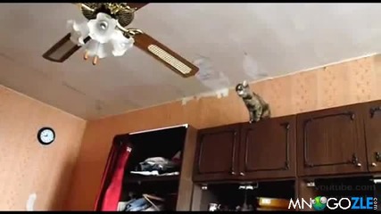 Kote ne izdyrja na izkushenieto
