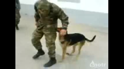 Войник Бива Атакуван По Време На Тренировка