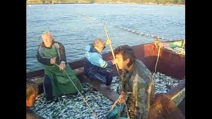 рибари Варвара