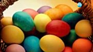 Какво количество яйца е редно да приемаме по Великденските празници?