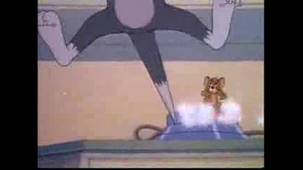 tom and jerry ( видео) 