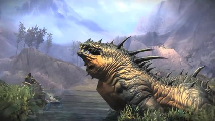 Guild Wars 2 - Guardian Skills