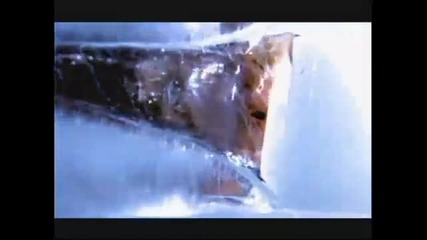 Shake Boom - Vinny