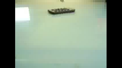 Bass Test
