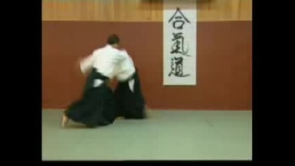 Aikido master - Iriminage