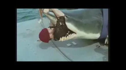 Много яка реклама с акула 