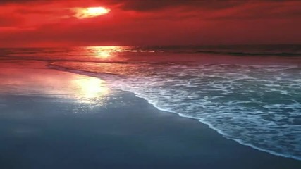 Ryan Farish - Full Sail Hq Widescreen