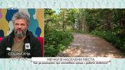 Как да реагираме при неочаквана среща с мечка
