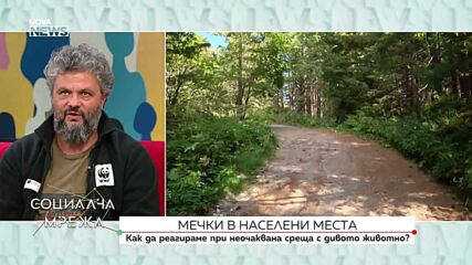 Как да реагираме при неочаквана среща с мечка