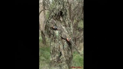 Turk Ordusu