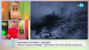 Забранени истории с Джуджи: Необясними изчезвания на хора - „На кафе“ (29.05.2025)