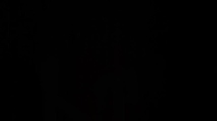 Samurai Dubstep