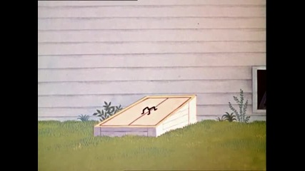 Tom and Jerry - Landing Stripling