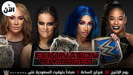 نزالات عرض إليمنيشن تشامبر – WWE  الآن