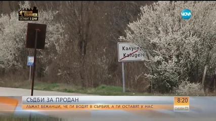 Лъжат бежанци, че ги водят в Сърбия, а ги оставят у нас