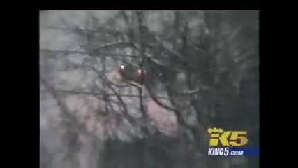 Real Car Crash 