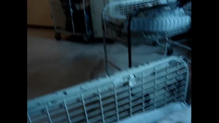 Гласовити новородени бебета плачат в Майчин дом