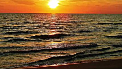 Tony Joe White - You're Gonna Look Good In Blues