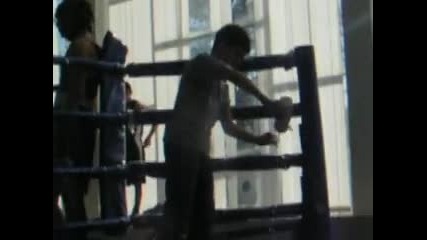 гратско по бокс 2009