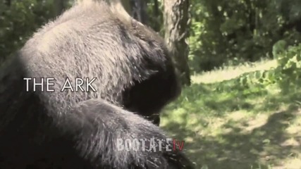 Planet Earth 2012 Wild life at the Zoo
