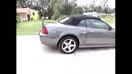 Чисто Svt Mustang Cobra