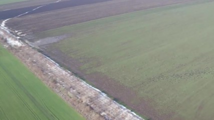 Екология на червеногушата гъска в България Февруари 2016