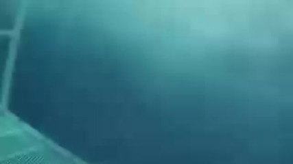 Акула напада човек в клетка 