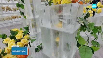 Рози в лед: Китайски град предлага необичайна атракция