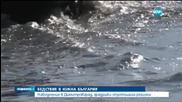 Градушка опустоши посевите в Димитровград