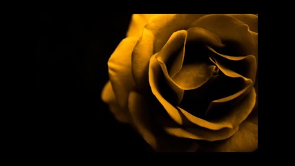 Lange feat. Emma Hewitt - Live Forever Mat Zo Remix Full Hq 