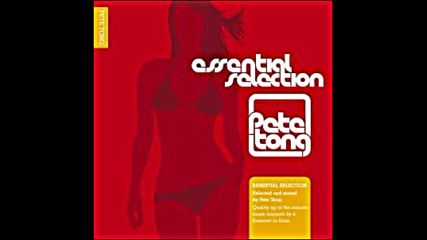 Pete Tong pres Essential Selection Electronic red 2003