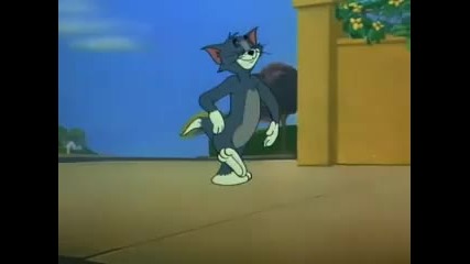 Tom and Jerry - Funny Revenge
