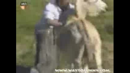 Another Funny one Poor Guy can t go in peace