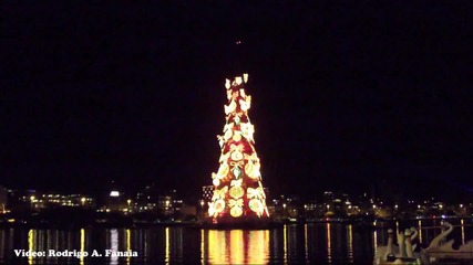 Запалиха светлините на най-голямото плаващо коледно дръвче в Рио де Жанейро
