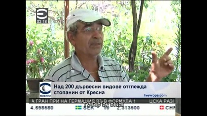 Дядо отглежда 200 вида дървета в градината си в Кресна