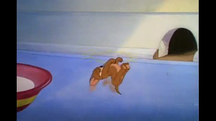 Tom & jerry 
