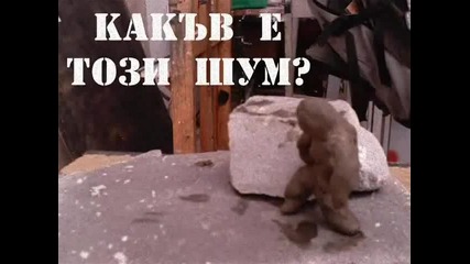 =гостът=
