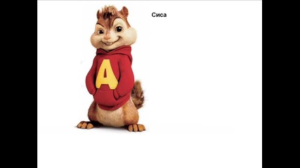 Chipmunks! Sisa Salzi