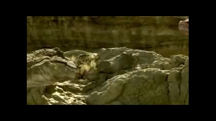 Dinosaur King Bilim Kurgu Korku Filmi Turkce Altyazili Film Yonetmen Holywood 2015 Hd