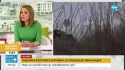 Красимир Панковски: Безопасно място няма в нито една точка на Украйна