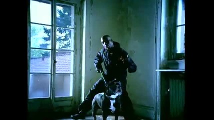 Dmx - Stop Being Greedy 