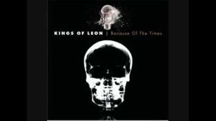 Kings of Leon - Fans