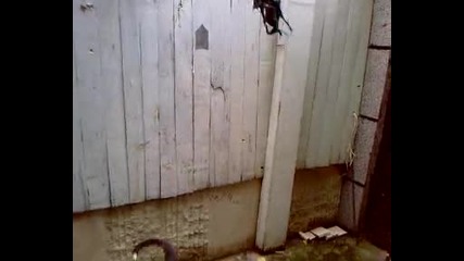 Ares na uroci
