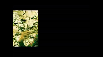to kill - no voice