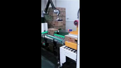 Автоматични системи за опаковане и палетизиране за вашето производство