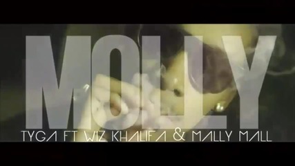 2о13 » Tyga ft. Wiz Khalifa & Mally Mall - Molly ( Fanmade)