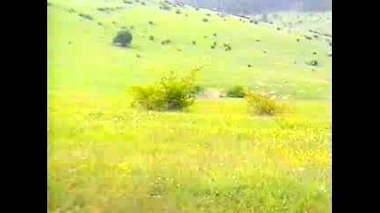 Сашо Роман - Девет (1998)