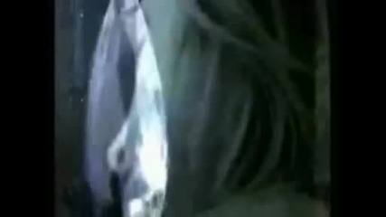 Lara Fabian - Tango -танго