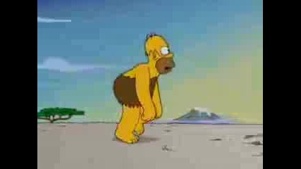 The Simpsons - Evolution Intro