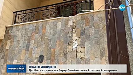 Дърво се сгромоляса върху балконите на жилищна кооперация